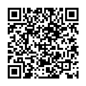 没想到我们的华夏朋友竟然惊动了王子殿下的到来二维码生成