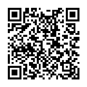 没想到我们竟然在这里能够遇到神秘的天机阁的人二维码生成