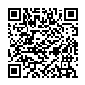 没想到我度一个命劫却是引得这么多的人的瞩目二维码生成