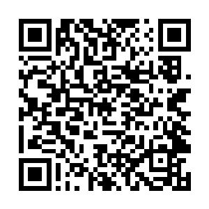 没想到我还能在繁华的都市上空置身于这种战斗之中二维码生成