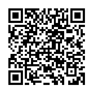 没想到时隔千年多龙家竟然发展到了现在这种规模二维码生成