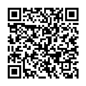 没想到最终竟会演变到三大忍宗之一的天忍宗出马二维码生成