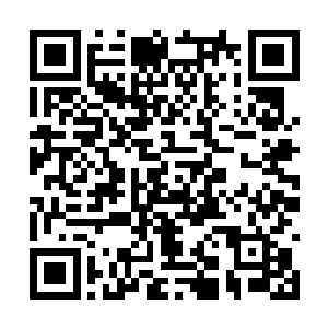 没想到沈风笑那老不死的还能生出这么漂亮一个妞二维码生成