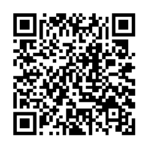没想到海域修真者这些年竟是冒出这么多化神期修者二维码生成