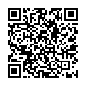 没想到现在反而被荣光的经纪人黛玻菈主动提了出来二维码生成