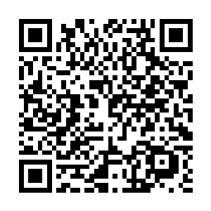 没想到现在只是劈开一个气海五层的妖人就手掌红肿受了伤二维码生成