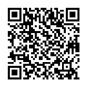 没想到现在居然还有异形血脉存在于这个世界上二维码生成