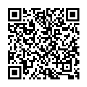 没想到看起来娇娇弱弱的苏雨果一发火也有如此力气如此气魄二维码生成