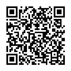 没想到真的有人会在白鹿洞穴开放的时候趁火打劫二维码生成