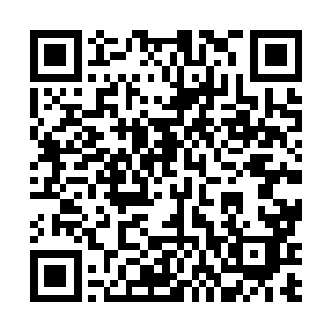 没想到睡了一觉再醒过来就被告知他们也可以采摘纷果二维码生成