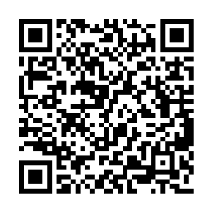 没想到秦墨的的保镖居然是一个留着板寸的女人二维码生成