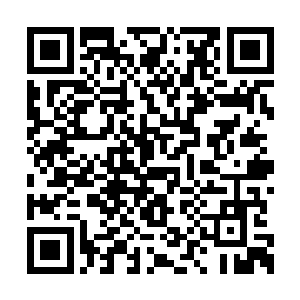 没想到秦洛竟然把关系说到自己的父母哪儿去了二维码生成