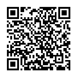 没想到竟然在这么短的时间内就杀死了一名掌握战技的大地圣师二维码生成