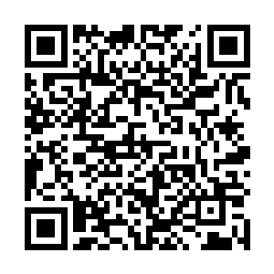 没想到竟然是用顶级雪露的渣滓的渣滓的渣滓弄出来的二维码生成