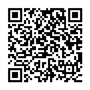 没想到竟然被他们看见到小胖子竟然只跟随着两个人就出了学院二维码生成