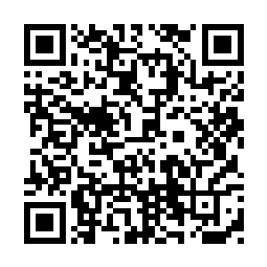没想到第二次出来出售丹药竟然遇见了这么一幕二维码生成