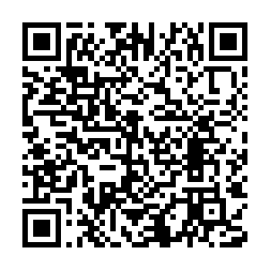 没想到等来的却是被称为皇后的女人――张家庶女张云儿冠以谋反之罪二维码生成