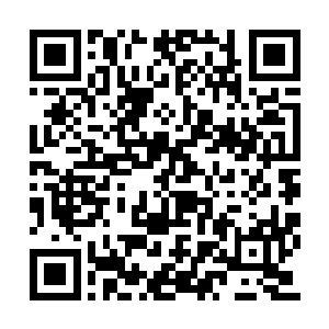 没想到老伯看到李川没有再次流露出掏钱的意愿二维码生成