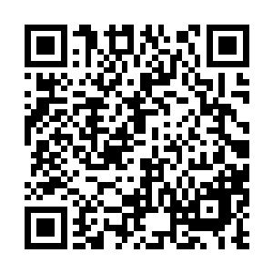 没想到自己伯父竟然因为长得像祖父而得皇帝惦念二维码生成