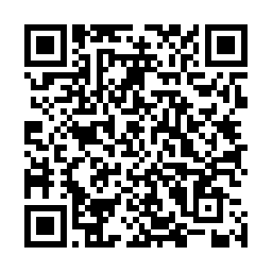 没想到自己在这里催动金圣龙本源之力也能引动龙殿的共鸣二维码生成