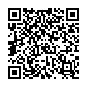 没想到自己特意的换了一件衣服还被墨的小鼻子给闻了出来二维码生成