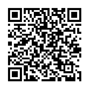 没想到自己视作心腹的奴才竟然在背后狠狠地阴了自己一把二维码生成