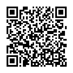 没想到舒蔓瑶竟然背着凤君泽将密道的地图给她二维码生成