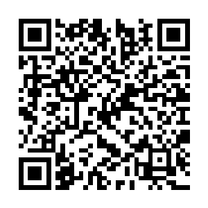 没想到芮阁全程都是一张谁欠了他一百斤大米的脸二维码生成