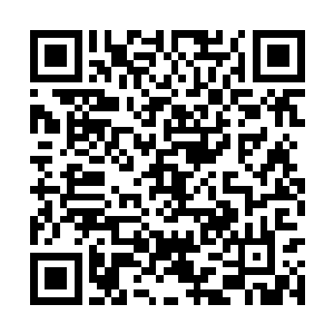 没想到这一世同时出现了睡古和另外一个绝世天才二维码生成