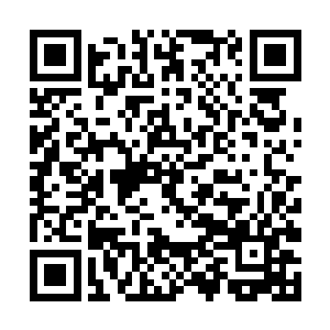 没想到这一次的混沌漩涡将她这一半的仁善分割走了二维码生成