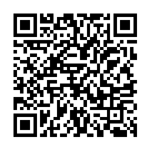 没想到这两个比看着年纪比她们还小的少女竟然会是他们的老板二维码生成