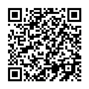 没想到这个人比我还年轻……他可能不是这个冒险者的对手二维码生成