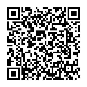 没想到这个功法渡个劫声势都这么恐怖幸亏是在造化图的空间之中二维码生成