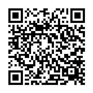 没想到这个女人竟然没有落入狂莽之口……那么另一个呢二维码生成