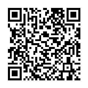 没想到这个家伙在当天晚上就把他哥哥和嫂子举报了二维码生成