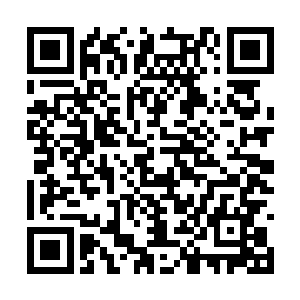 没想到这个密室之中竟然还隐藏着如此恐怖的杀机二维码生成