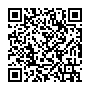 没想到这个新人竟然还能在这种情况下做出反击二维码生成