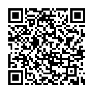 没想到这个时候帝宗还有弟子在这里和妖兽战斗二维码生成