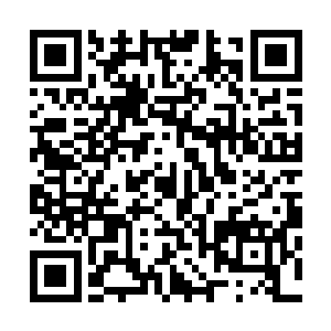 没想到这个梦境之神的神仆一下子就指出了马文所在的方位二维码生成