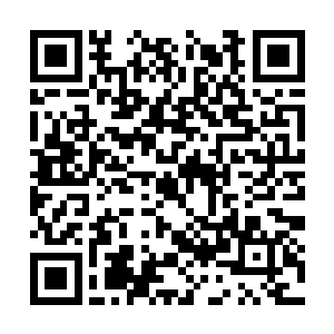 没想到这些年你在兽神殿中竟会获得如此大的造化二维码生成