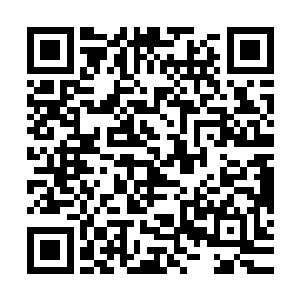 没想到这些年首辅大人不动声色的在帝国各处安置了这许多的人二维码生成