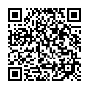 没想到这兄弟俩在这么多人中间还能做出这种高难度的接力动作二维码生成
