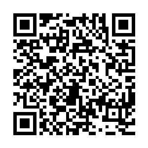 没想到这嗜金商人用天赋秘法培养出的金属怪物竟然还孕有彩二维码生成