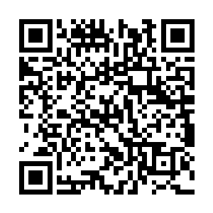 没想到这天底下竟然还有这么高级的雷属性的宝物二维码生成