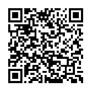 没想到这山林里面的蚊子还没有彻底的进入沉睡二维码生成