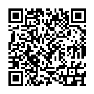 没想到这方天地现在竟然已经沦落到这种境地了二维码生成