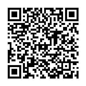 没想到这株植物的口水居然会又如此强烈的腐蚀性二维码生成