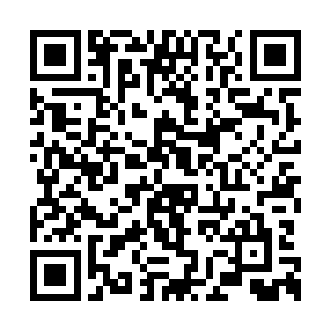 没想到这次传送的位置比较接近就顺便过来休息二维码生成