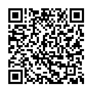 没想到这芥子袋里如今却满满当当一大堆的仙石二维码生成