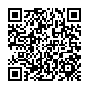 没想到这话传到了打扮成小厮来到苏国公府的十三公主耳朵里二维码生成